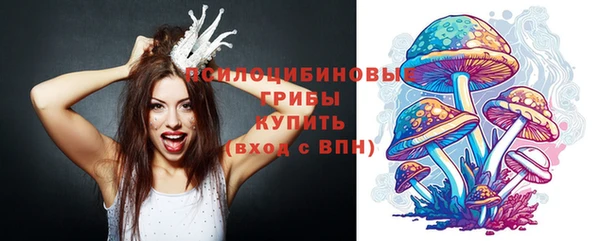 трава Протвино